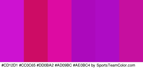 #CD12D1 #CC0C65 #DD0BA2 #AD09BC #AE0BC4 #C60F9F Colors