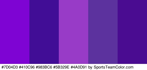 #7D04D3 #410C96 #983BC6 #5B329E #4A0D91 Colors