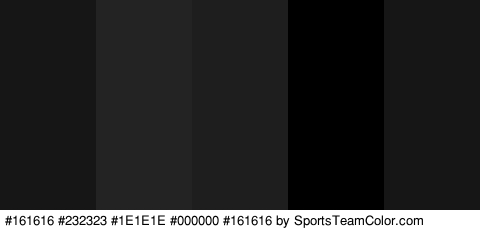 #161616 #232323 #1E1E1E #000000 #161616 Colors