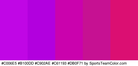 #C006E5 #B100DD #C902AE #C61193 #DB0F71 Colors