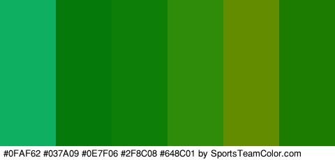 #0FAF62 #037A09 #0E7F06 #2F8C08 #648C01 #1C7C01 Colors