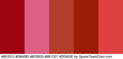 #9E0312 #DB6083 #B23B29 #9B1D07 #DD403E Colors