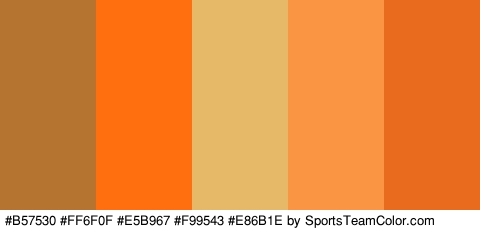 #B57530 #FF6F0F #E5B967 #F99543 #E86B1E Colors