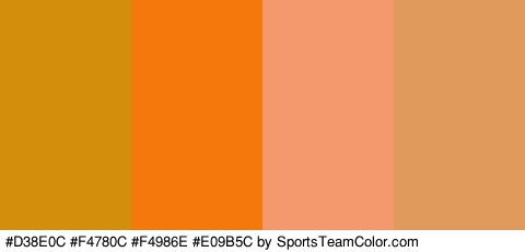 #D38E0C #F4780C #F4986E #E09B5C Colors