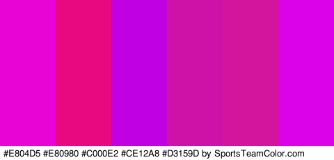 #E804D5 #E80980 #C000E2 #CE12A8 #D3159D #DB02EA Colors