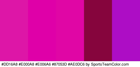 #DD16A8 #E000A8 #E006A6 #87053D #AE0DC6 Colors