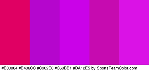 #E00064 #B406CC #C902E8 #C60BB1 #DA12E5 Colors