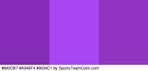 #842CB7 #A946F4 #9034C1 Colors