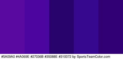 #5A09A0 #4A069E #27036B #35088E #310072 Colors