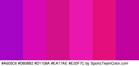 #A605C6 #D808B2 #D1108A #EA17AE #E20F7C #C1039E Colors