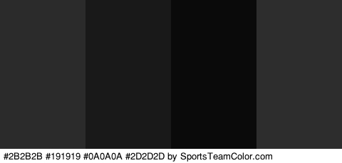 #2B2B2B #191919 #0A0A0A #2D2D2D Colors