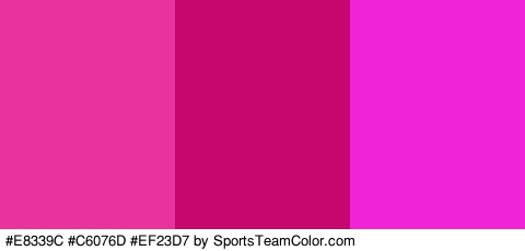 #E8339C #C6076D #EF23D7 Colors