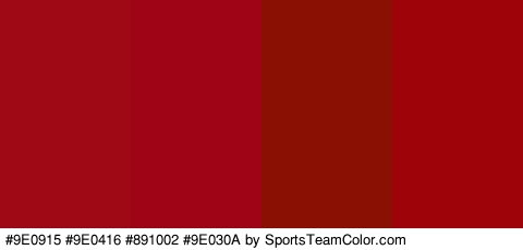 #9E0915 #9E0416 #891002 #9E030A Colors