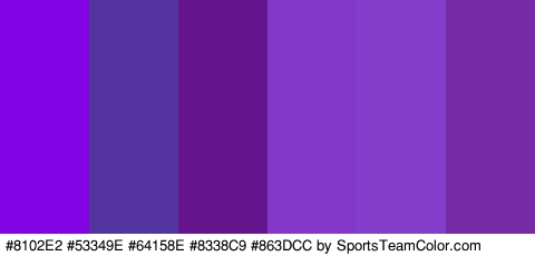 #8102E2 #53349E #64158E #8338C9 #863DCC #762BA5 Colors