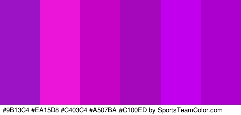 #9B13C4 #EA15D8 #C403C4 #A507BA #C100ED #AC00CE Colors