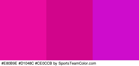 #E80B9E #D1048C #CE0CCB Colors