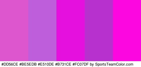 #DD56CE #BE5EDB #E510DE #B731CE #FC07DF Colors