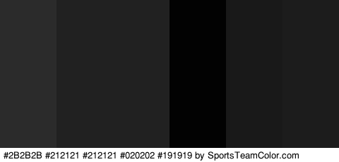 #2B2B2B #212121 #212121 #020202 #191919 #1C1C1C Colors