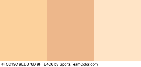 #FCD19C #EDB78B #FFE4C6 Colors