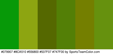 #079907 #8CA510 #556800 #537F07 #747F00 #65910E Colors