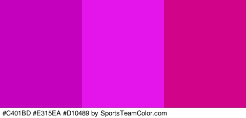 #C401BD #E315EA #D10489 Colors