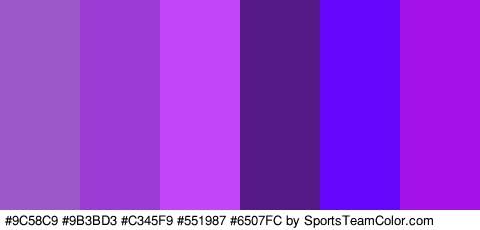 #9C58C9 #9B3BD3 #C345F9 #551987 #6507FC #A412E8 Colors