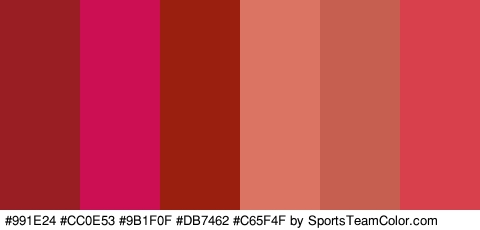 #991E24 #CC0E53 #9B1F0F #DB7462 #C65F4F #D8414B Colors