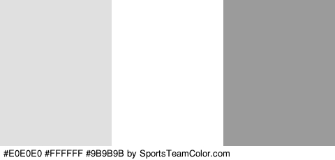 #E0E0E0 #FFFFFF #9B9B9B Colors