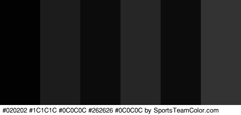 #020202 #1C1C1C #0C0C0C #262626 #0C0C0C #333333 Colors