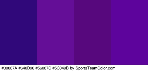 #30087A #640D96 #56087C #5C049B Colors