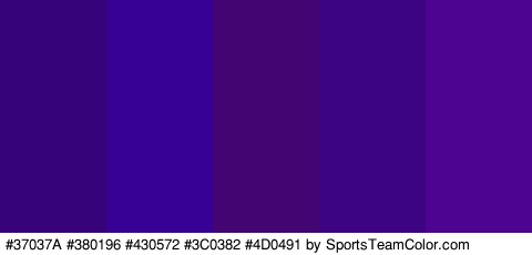 #37037A #380196 #430572 #3C0382 #4D0491 Colors