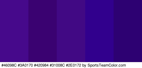 #46098C #3A0170 #420984 #31008C #2E0172 Colors