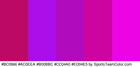 #BC0966 #AC0EEA #B00BBC #CC04A0 #ED04E5 Colors