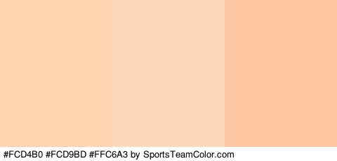 #FCD4B0 #FCD9BD #FFC6A3 Colors