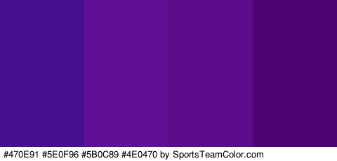 #470E91 #5E0F96 #5B0C89 #4E0470 Colors