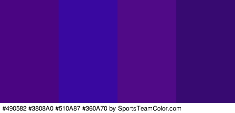 #490582 #3808A0 #510A87 #360A70 Colors