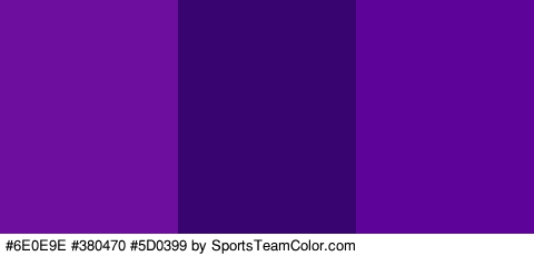 #6E0E9E #380470 #5D0399 Colors