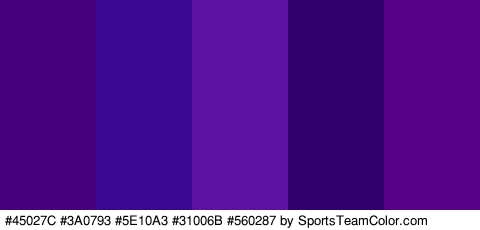 #45027C #3A0793 #5E10A3 #31006B #560287 Colors