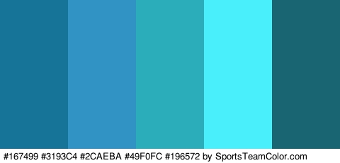 #167499 #3193C4 #2CAEBA #49F0FC #196572 Colors