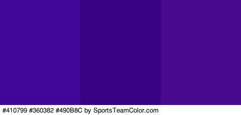 #410799 #360382 #490B8C Colors