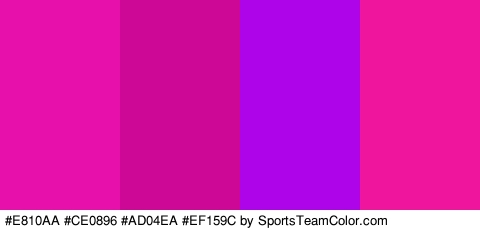 #E810AA #CE0896 #AD04EA #EF159C Colors