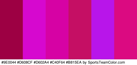 #9E0044 #D608CF #D602A4 #C40F64 #B815EA #DB0A81 Colors