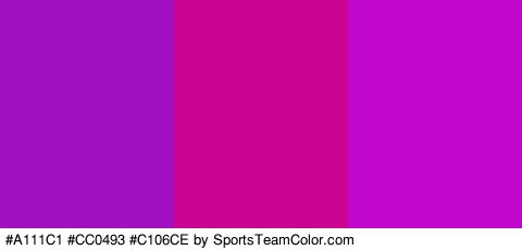 #A111C1 #CC0493 #C106CE Colors