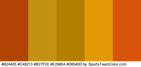 #B24405 #C49213 #B27F00 #E29804 #D8540D Colors