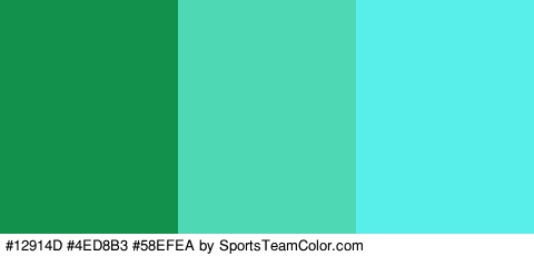 #12914D #4ED8B3 #58EFEA Colors