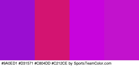 #9A0ED1 #D31571 #C804DD #C212CE Colors