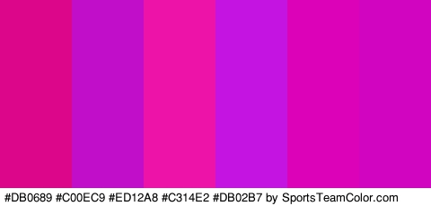 #DB0689 #C00EC9 #ED12A8 #C314E2 #DB02B7 #D104C0 Colors