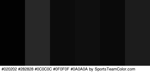 #020202 #282828 #0C0C0C #0F0F0F #0A0A0A #1C1C1C Colors