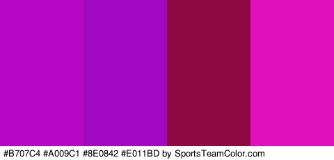 #B707C4 #A009C1 #8E0842 #E011BD Colors