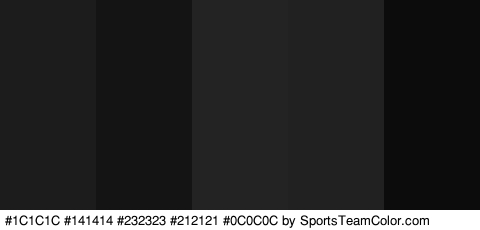 #1C1C1C #141414 #232323 #212121 #0C0C0C Colors